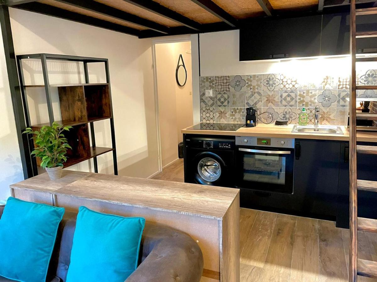 Cocooning & Modern Duplex City Center Carabacel Niza Exterior foto
